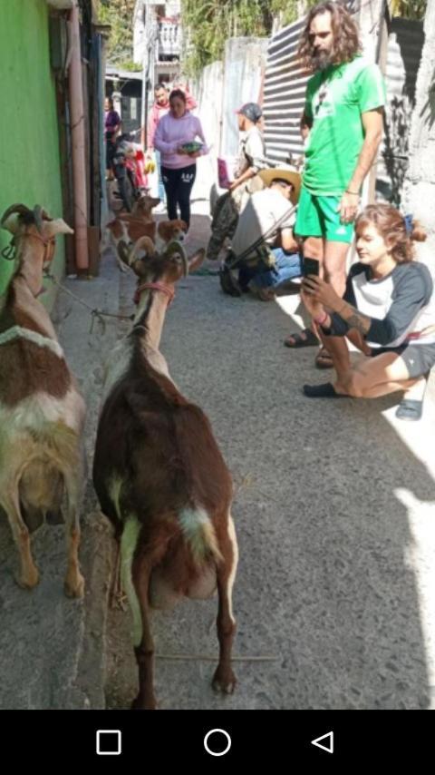 Appartamento Casa Zope Panajachel Esterno foto